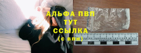 прущие грибы Верея