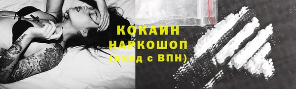 индика Верхнеуральск