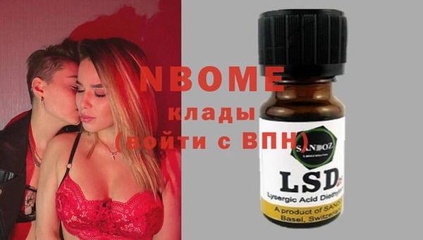 прущие грибы Верея