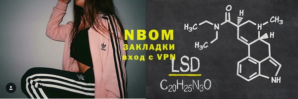 прущие грибы Верея