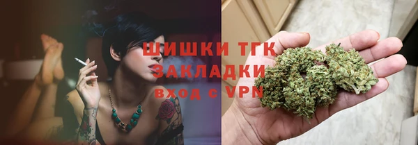 прущие грибы Верея