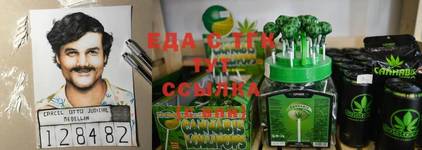 прущие грибы Верея
