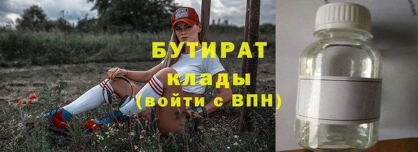 прущие грибы Верея