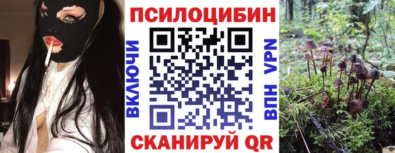 Купить закладки  Ковдор  Галлюциногенные грибы мицелий 