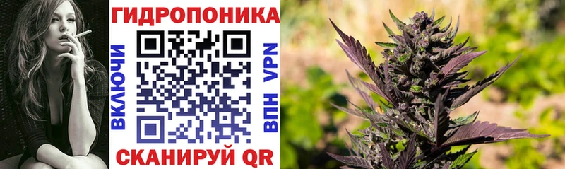 Купить закладки  Ковдор  Марихуана Amnesia 